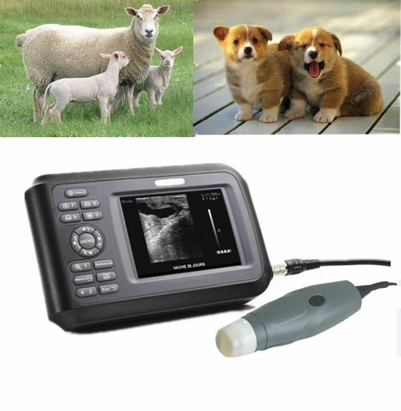 Veterinary Ultrasound Scanners Market