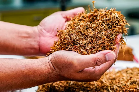 Tobacco Market