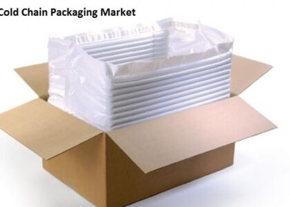 Cold Chain Packaging Market