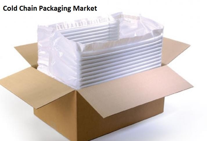 Cold Chain Packaging Market