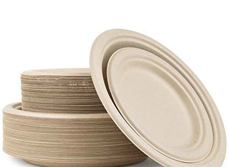 Disposable Plates Market