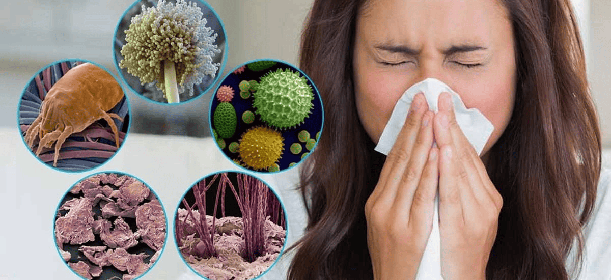 Global Allergy Treatment Industry