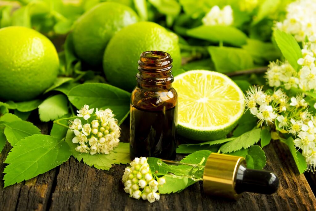 Bergamot Extract Market