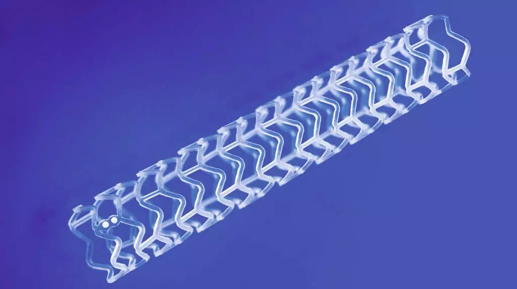 Bioabsorbable Stents Market