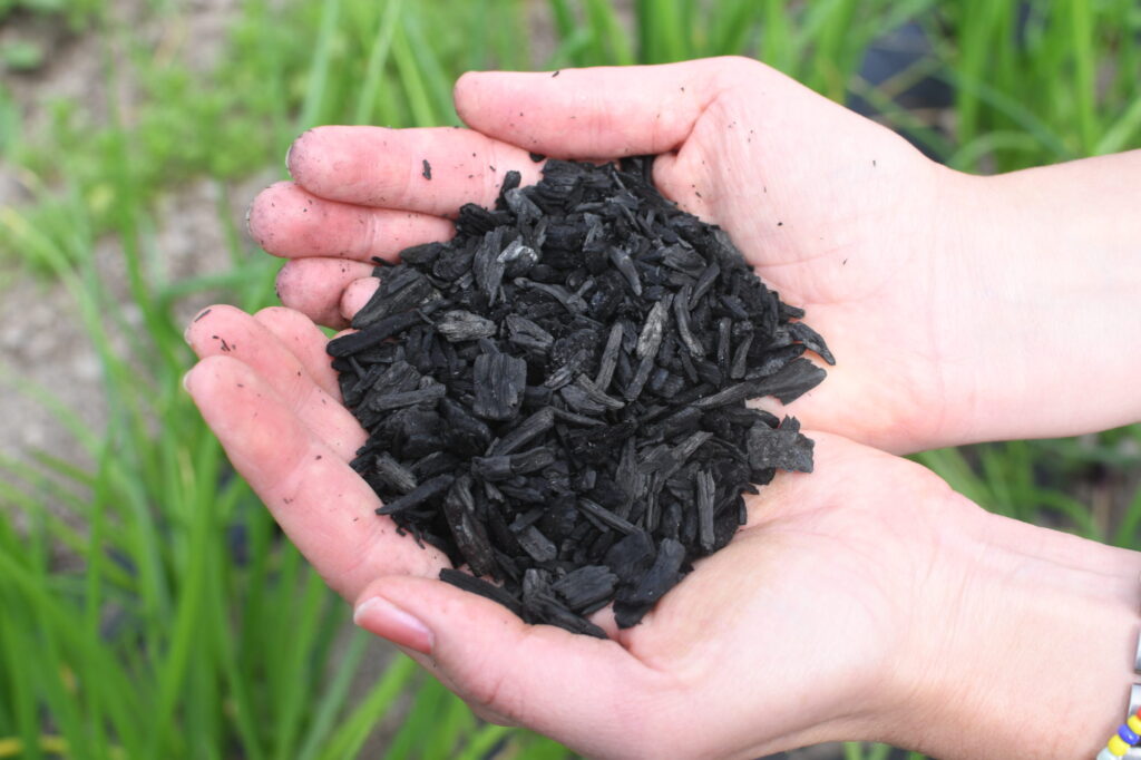 The biochar fertilizer market