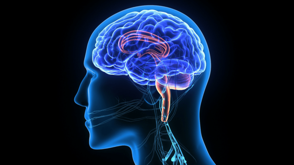 Brain Biomarkers Market