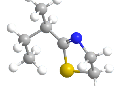 Butyl Stearate Market