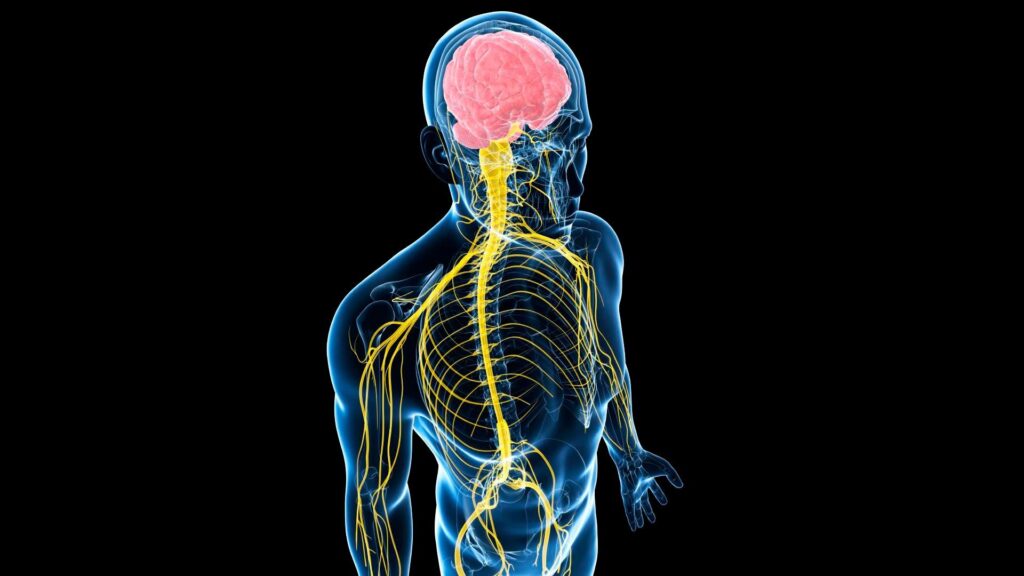 CNS Treatment and Therapy Market