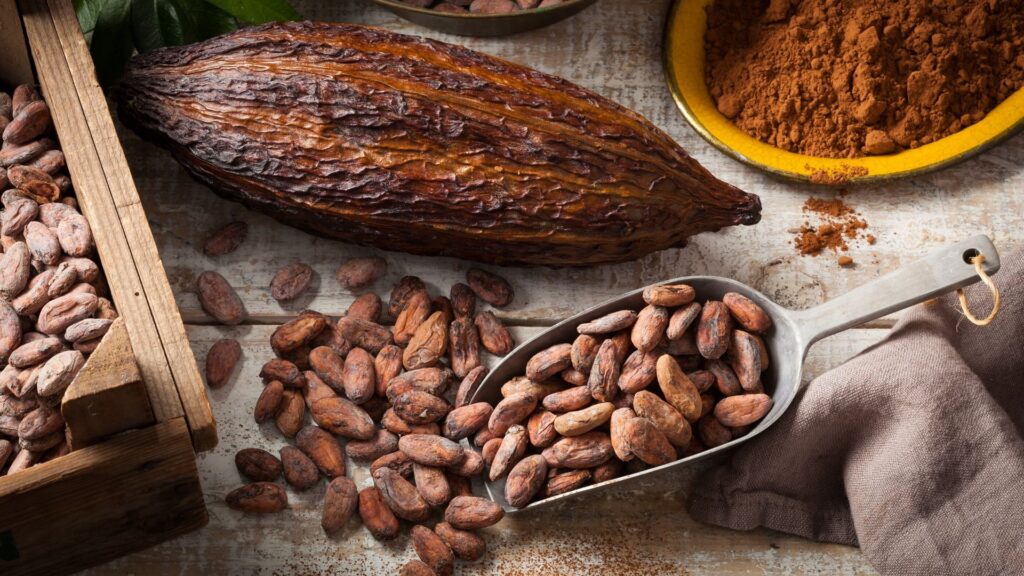 cacao beans market