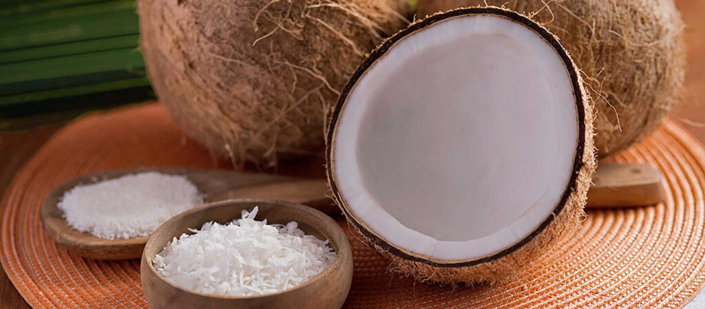 Desiccated Coconut Market 