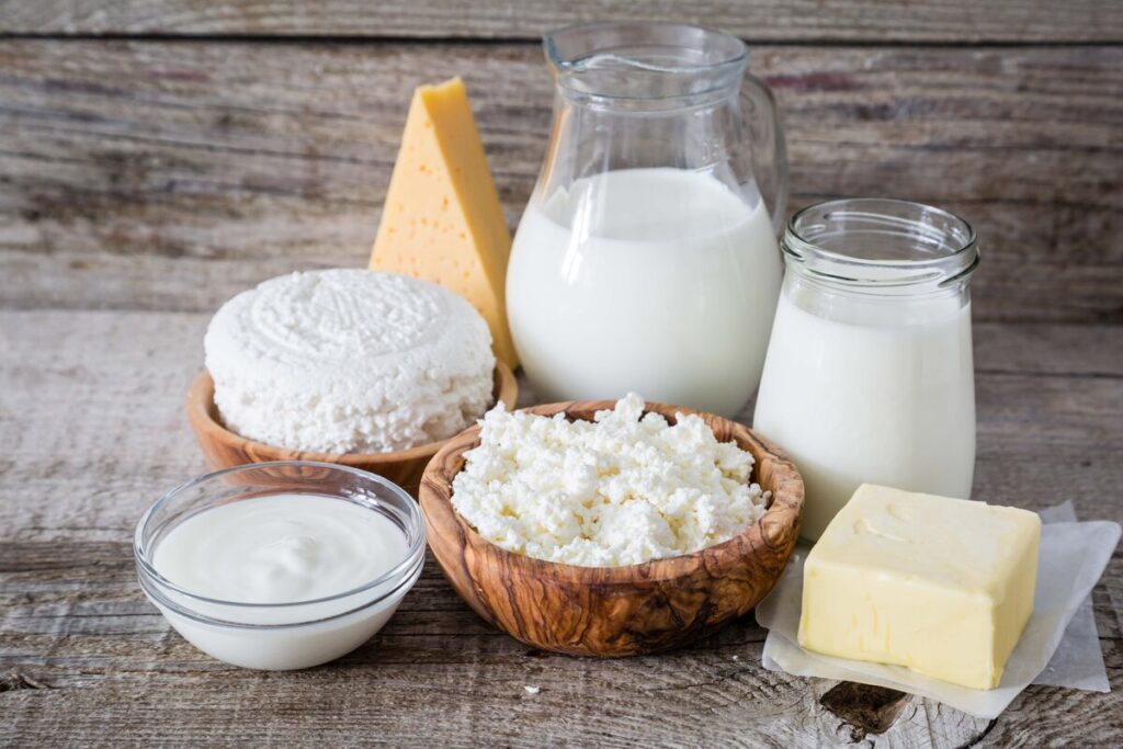 Fermented Dairy Ingredients Market 