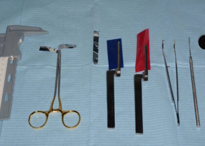 Global Articulating Paper Forceps Industry