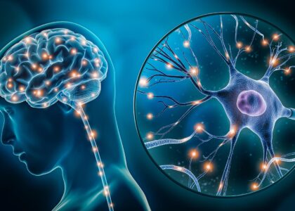 Global Brain Metastasis Therapeutics Industry