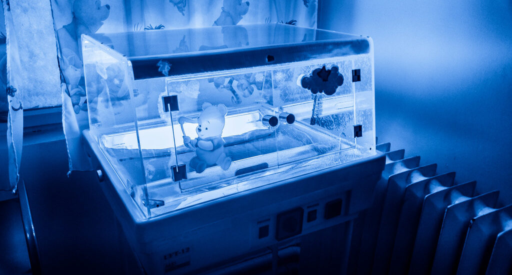 Global Neonatal Thermoregulation Industry