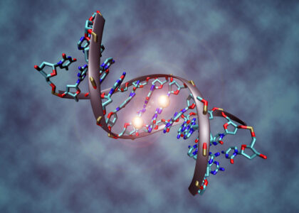 Global Nucleic Acid and Gene Therapies in Neuromuscular Disorders Industry