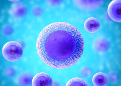 Global Hematopoietic Stem Cell Transplantation Industry