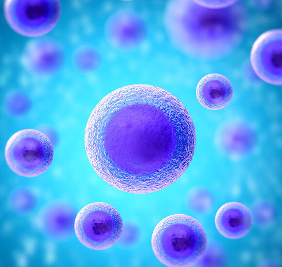 Global Hematopoietic Stem Cell Transplantation Industry