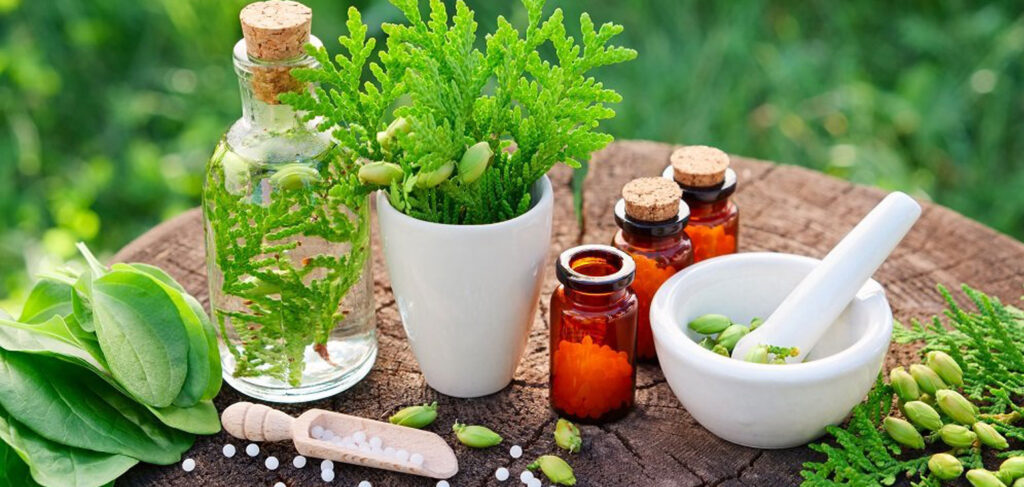 Herbal Supplements Market 