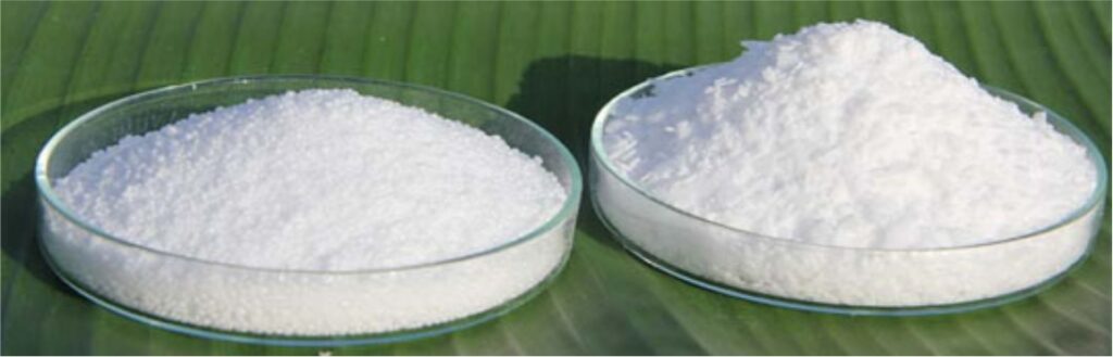 Lauric Acid Market