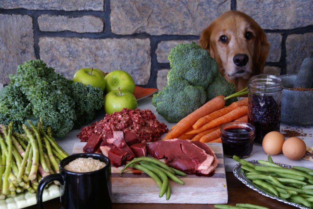 Pet Food Ingredients Market 