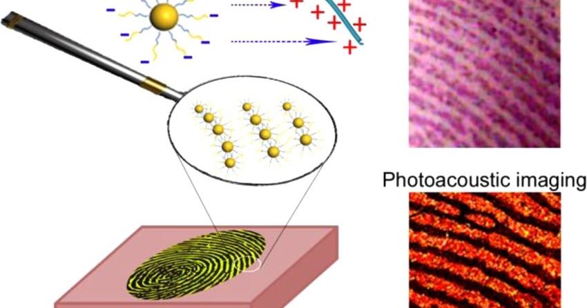 Photoacoustic Microscopy Market