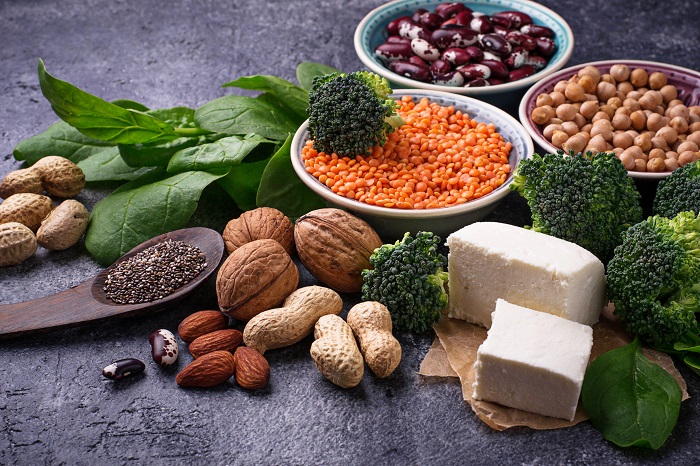 Plant-Derived Proteins Market