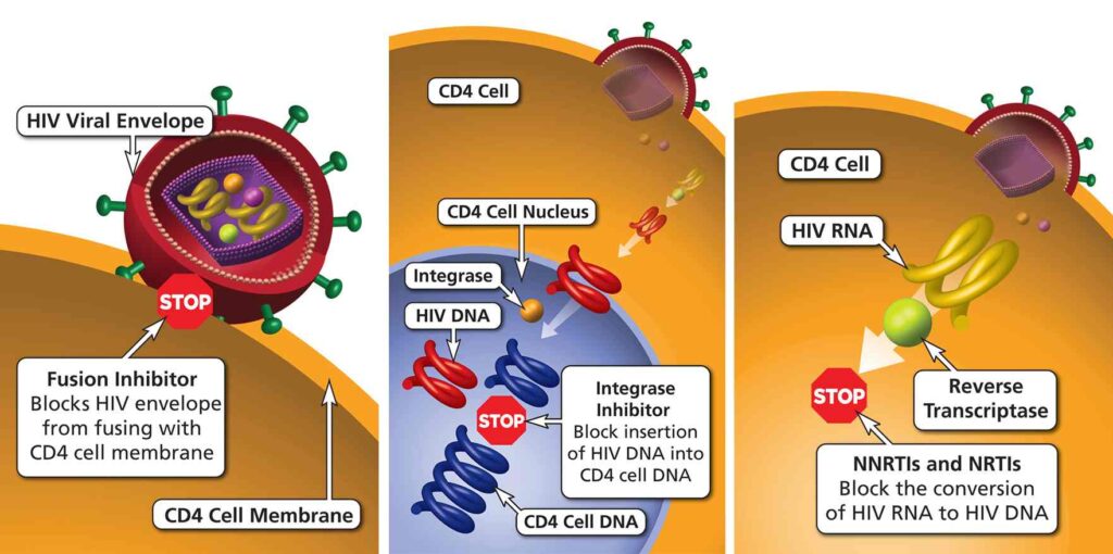 Reverse Transcriptase Enzymes Market