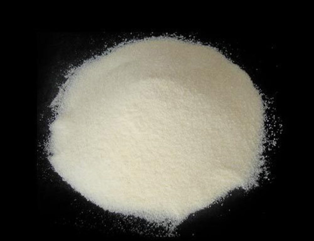 Sodium Caseinate Market