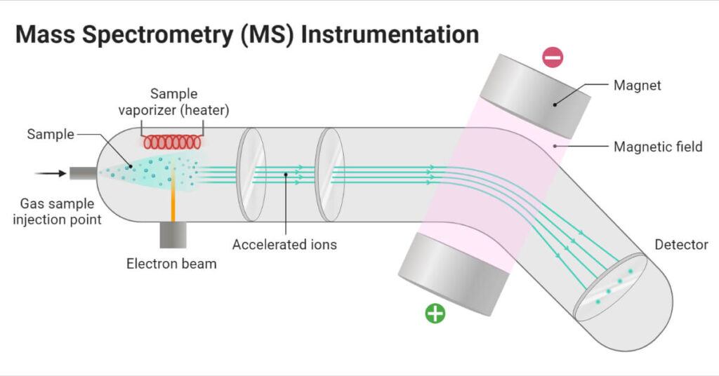 Spatial Mass Spectrometry Market