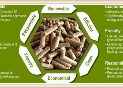 Biomass Pellets