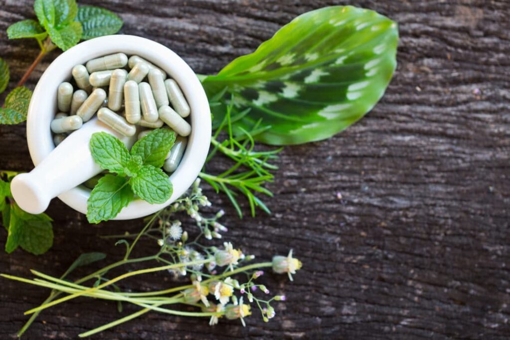 Botanical Supplements Market