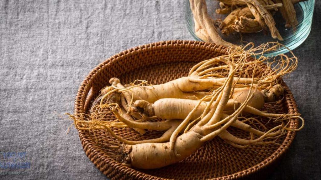 ginseng market