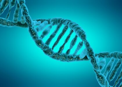 Global DNA Synthesis Industry