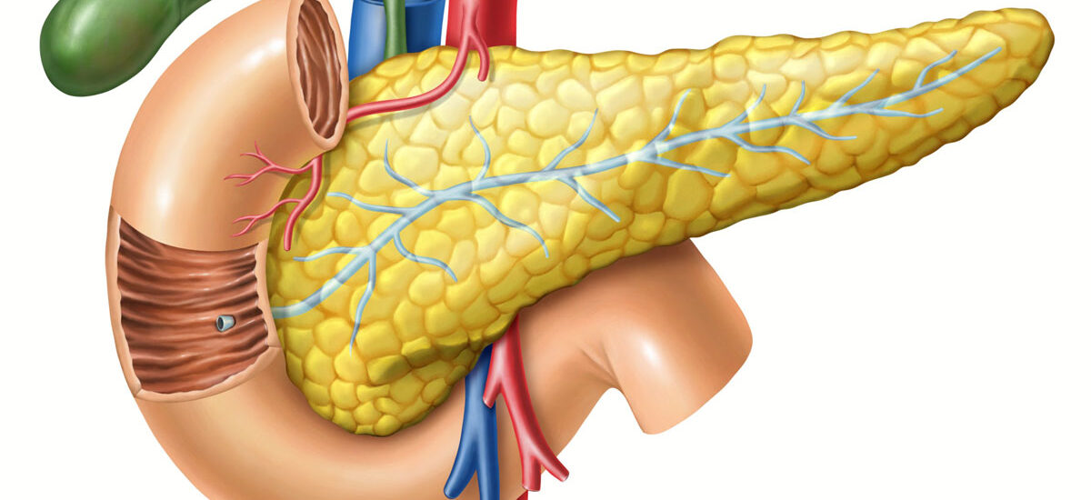 Global Pancreatic Stone Protein Testing Industry