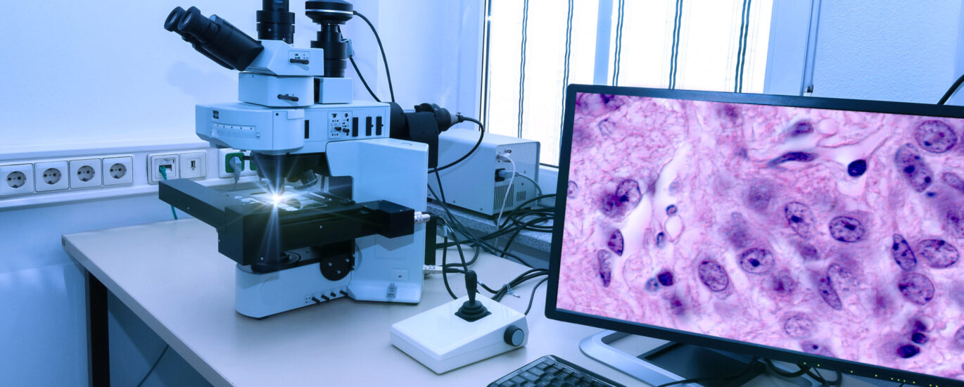 Global Pathology Imaging Systems Industry
