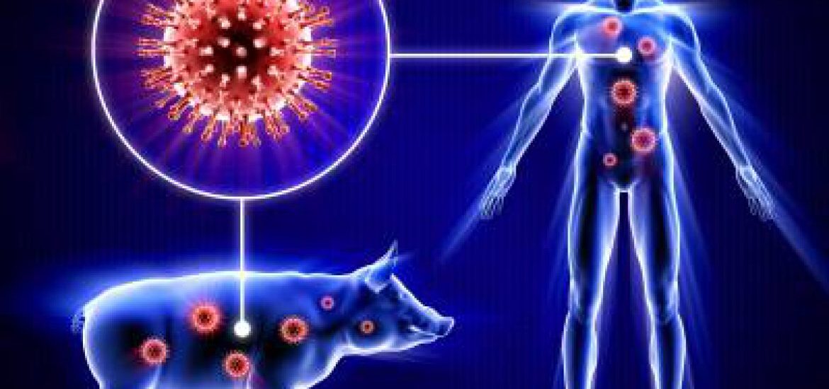 Global Swine Respiratory Diseases Treatment Industry