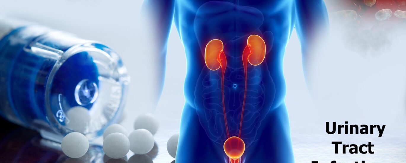 Global Urinary Tract Infection Treatment Industry