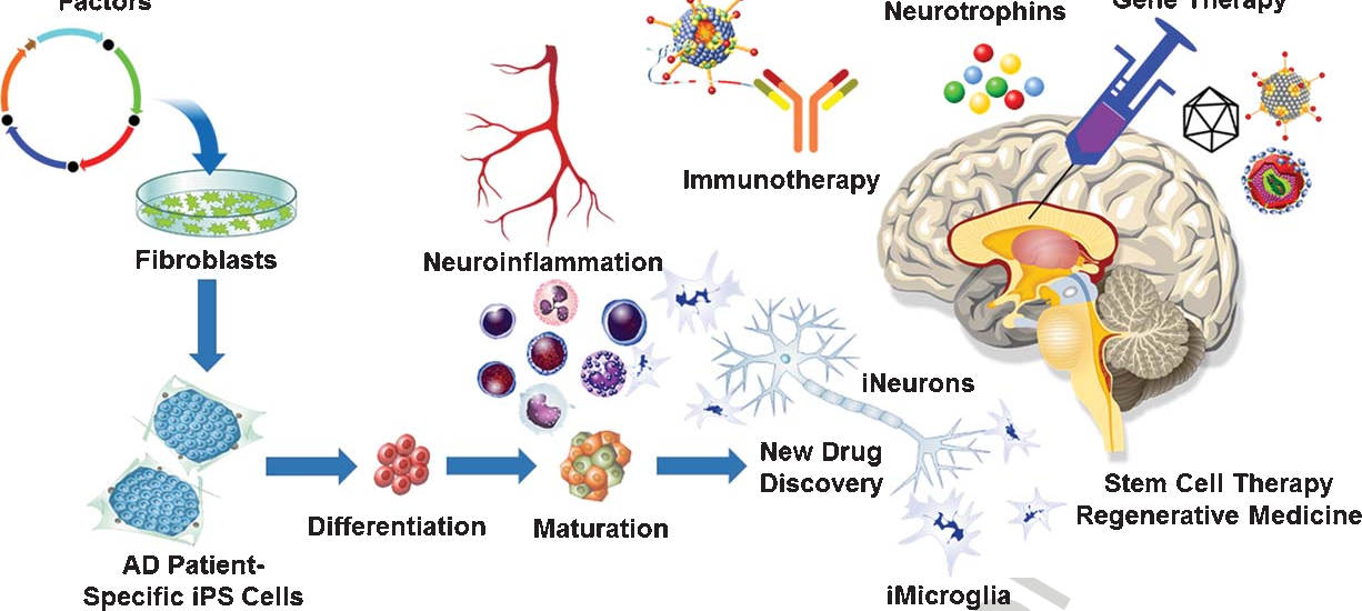 Neurotrophins Market