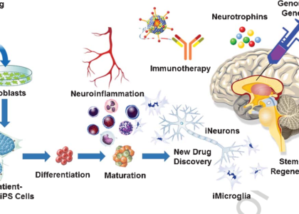 Neurotrophins Market