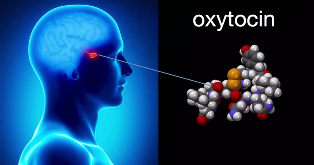 Oxytocin Market