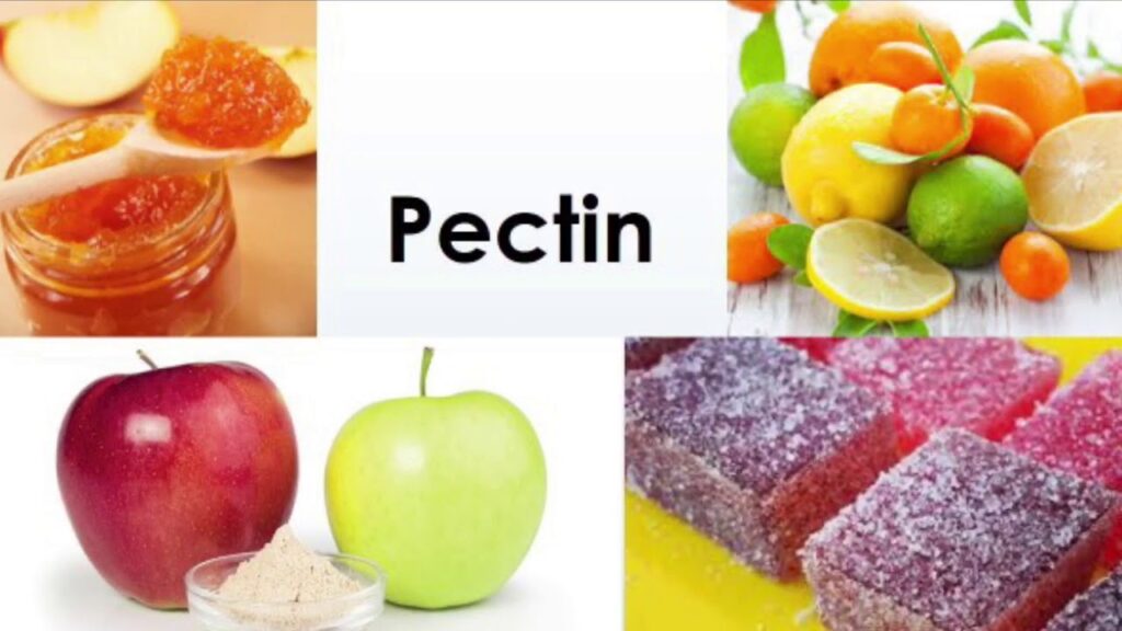 Pectin Market 