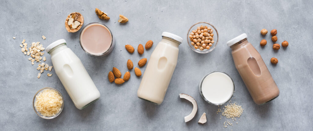 Plant-Based Protein Beverages Market 