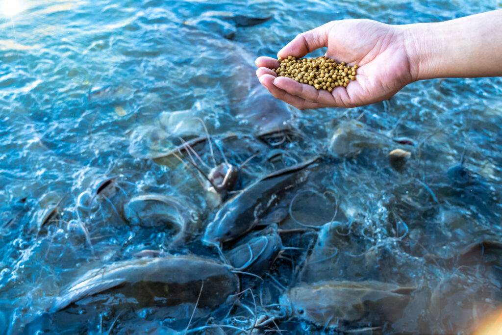 Plant-Based Fish Feed Market