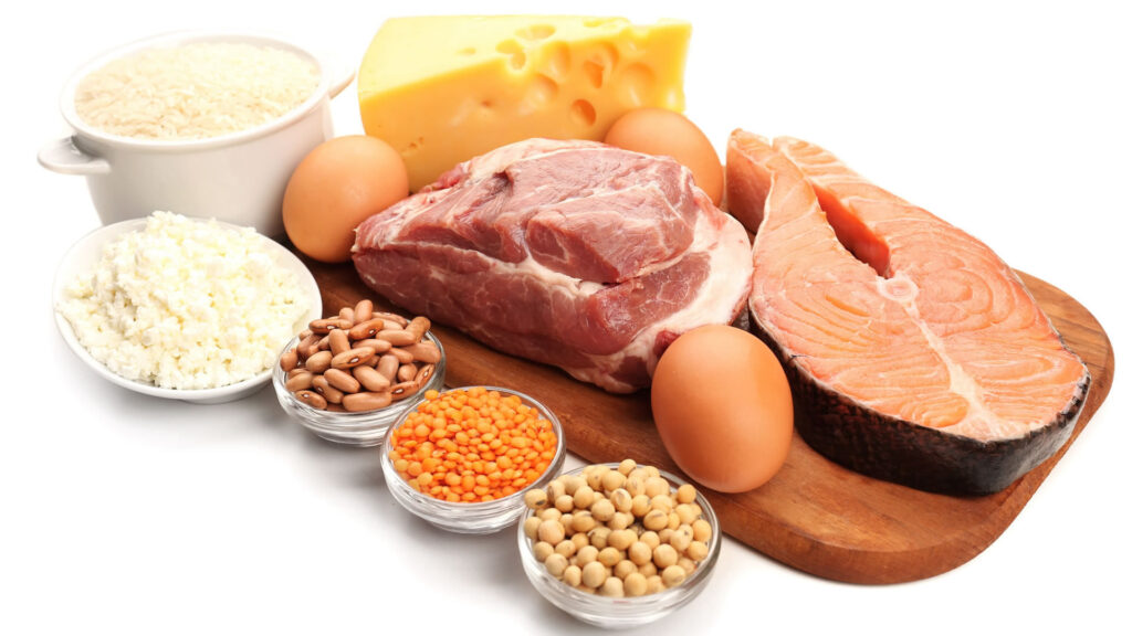 Protein A Resins Market