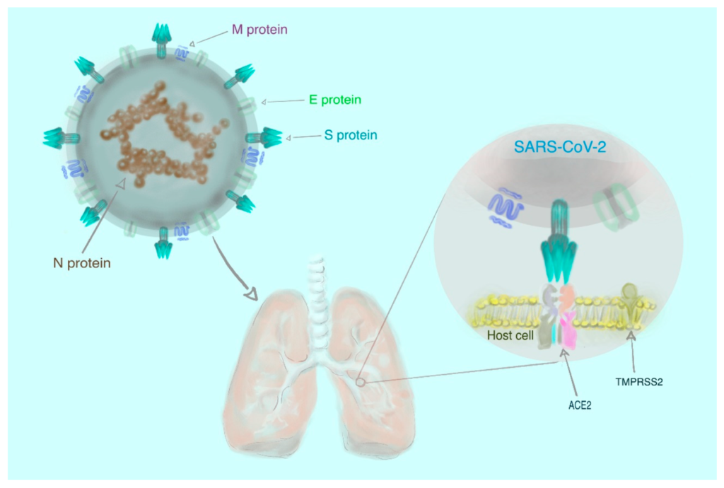 Respiratory Pathogen Testing Kits Market