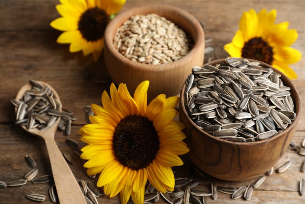 Sunflower Seeds Market