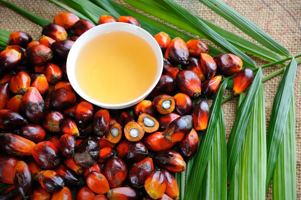 Sustainable palm oil