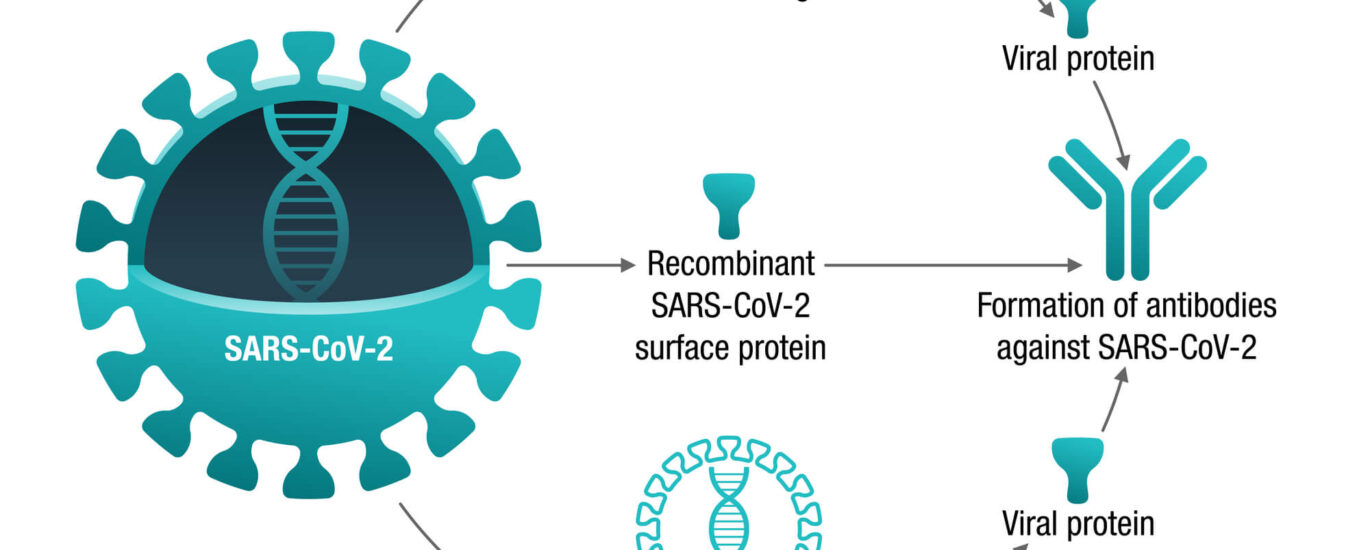 Viral Vector Development Market