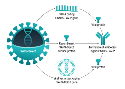 Viral Vector Development Market