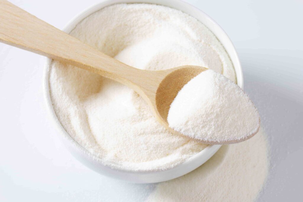 Yogurt Powder Market